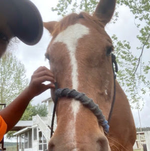 Meet your Posher, Mariah